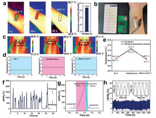 天津大學(xué)劉文廣團隊AM 高靈敏度深共晶離子凝膠溫度傳感器