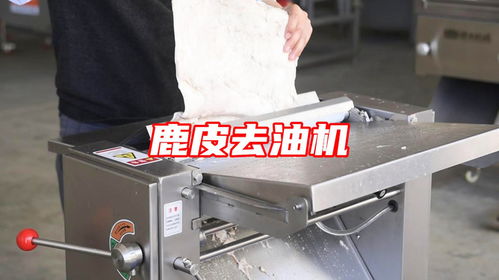 鹿皮去油用什么機(jī)器 自動(dòng)刮肉皮油脂機(jī)多功能豬皮去油機(jī)